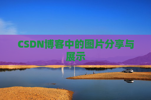 CSDN博客中的图片分享与展示